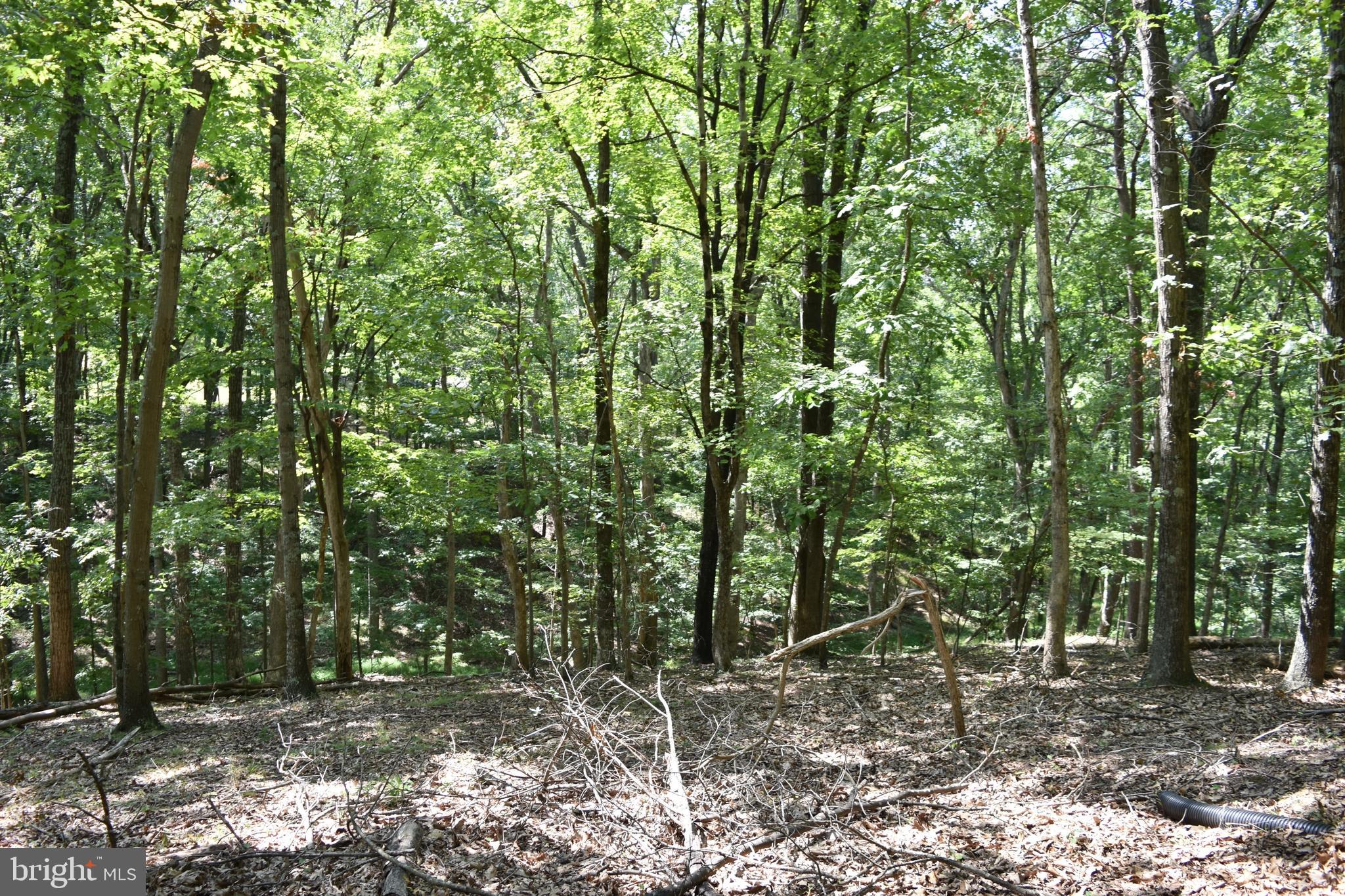 250 Shady Brook Dr