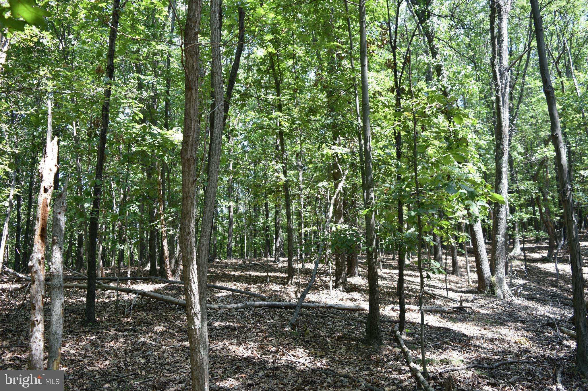 250 Shady Brook Dr