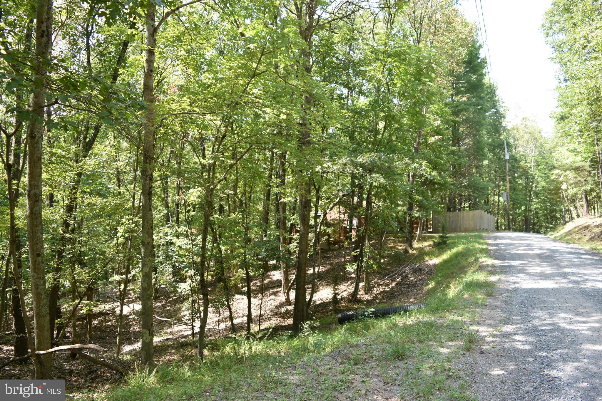 250 Shady Brook Dr
