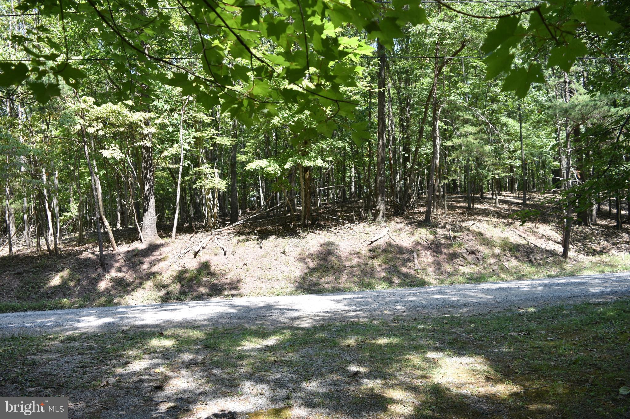 250 Shady Brook Dr