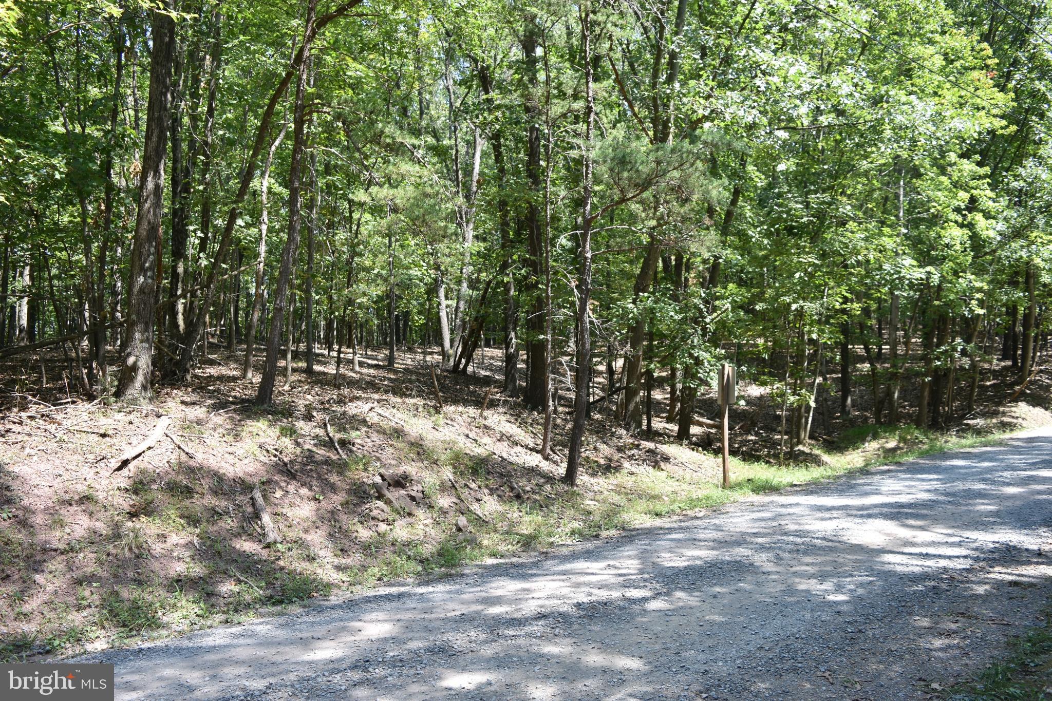 250 Shady Brook Dr