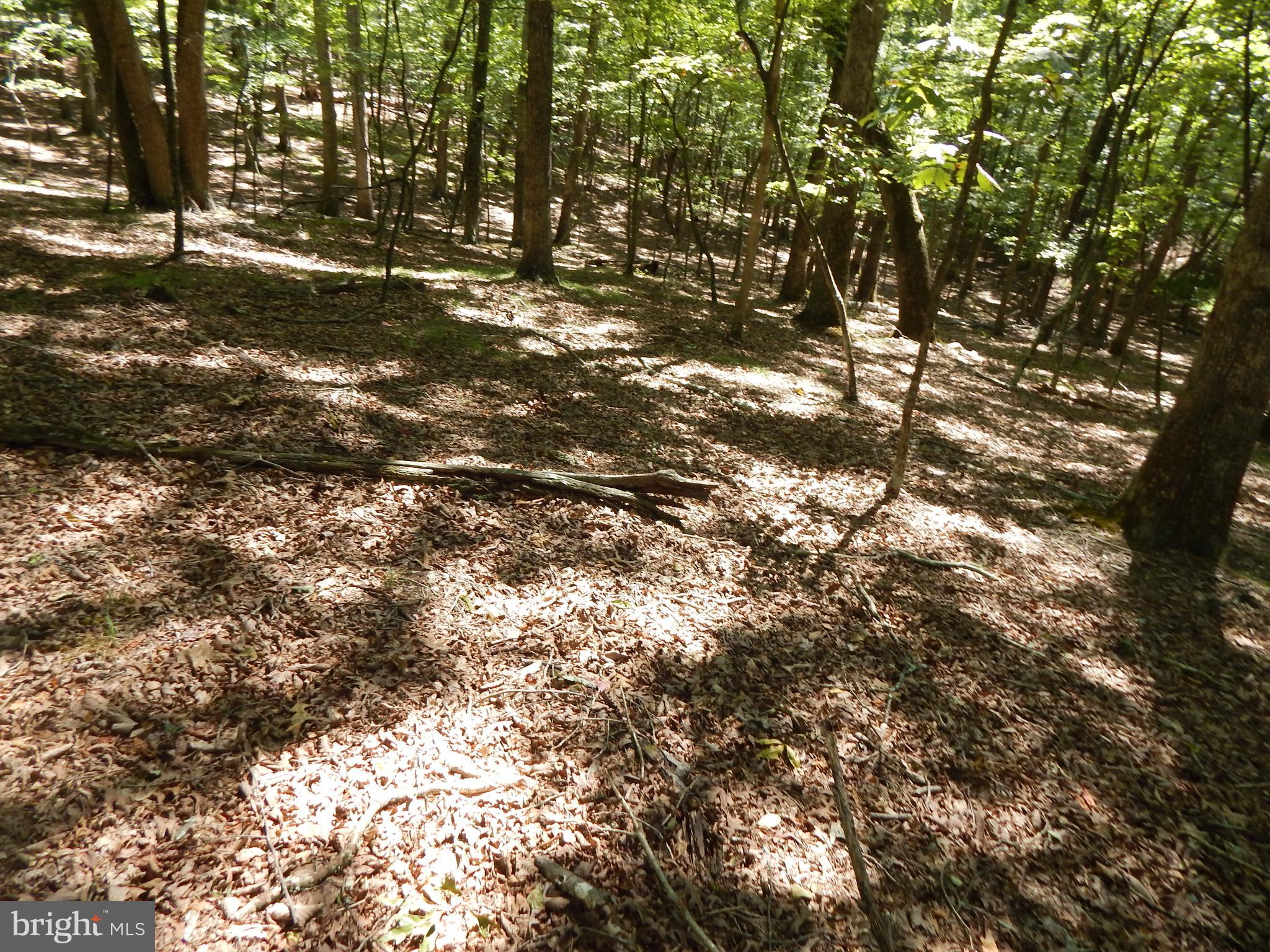 Sideling Mountain Trl