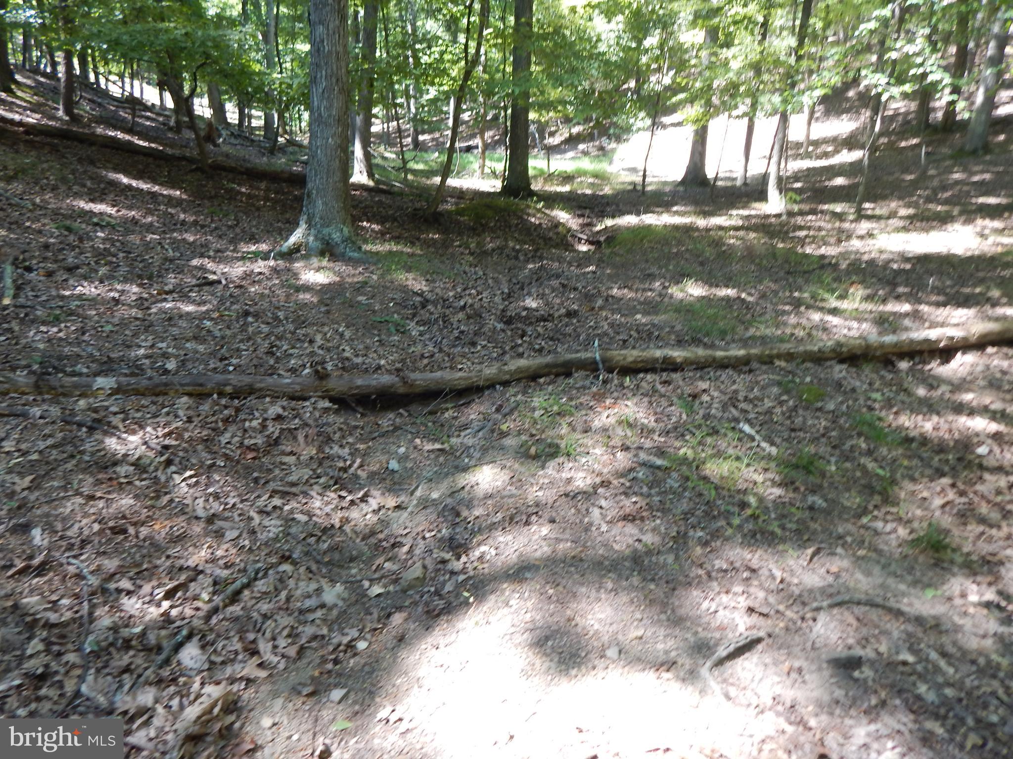 Sideling Mountain Trl