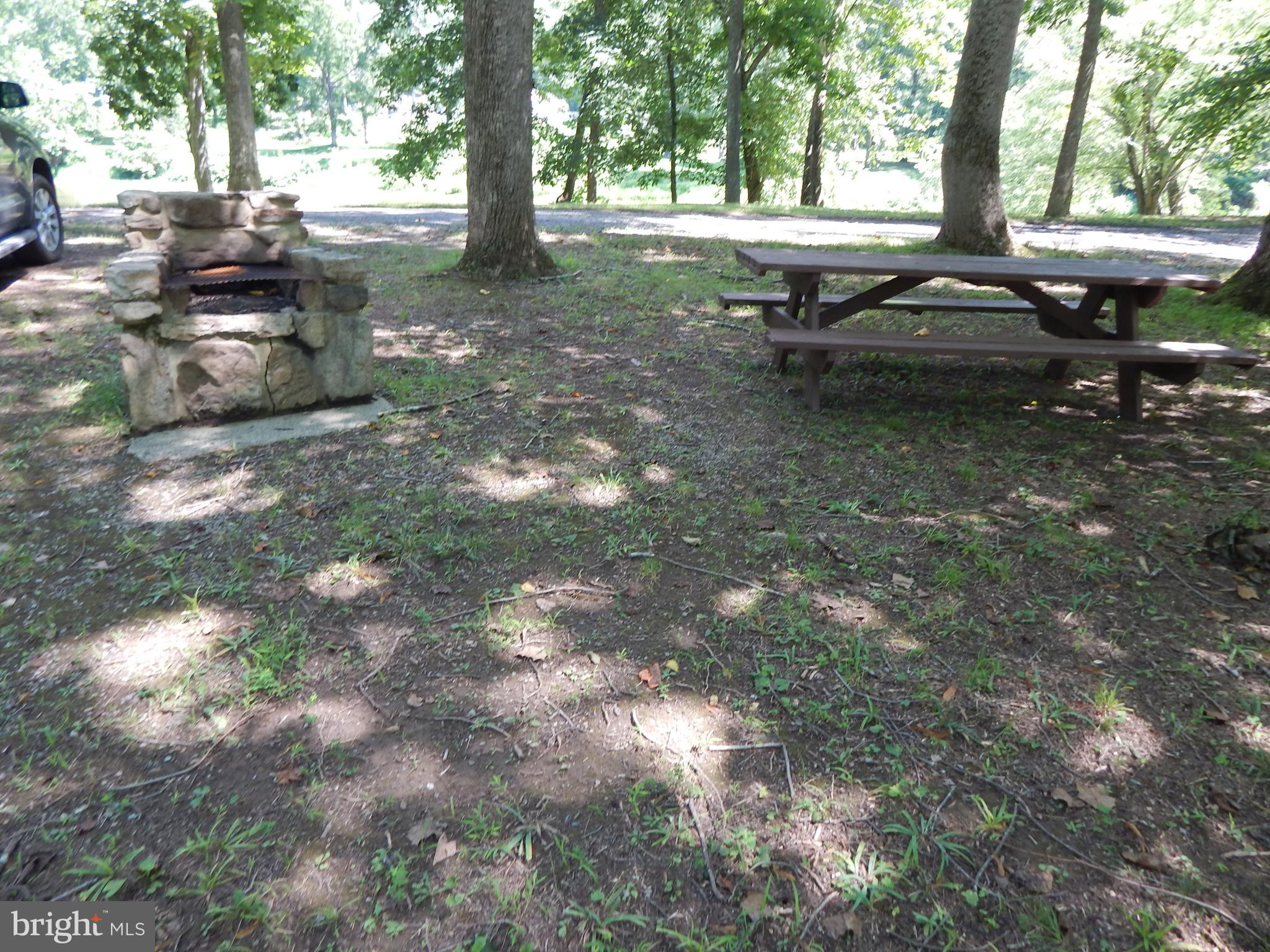 Sideling Mountain Trl