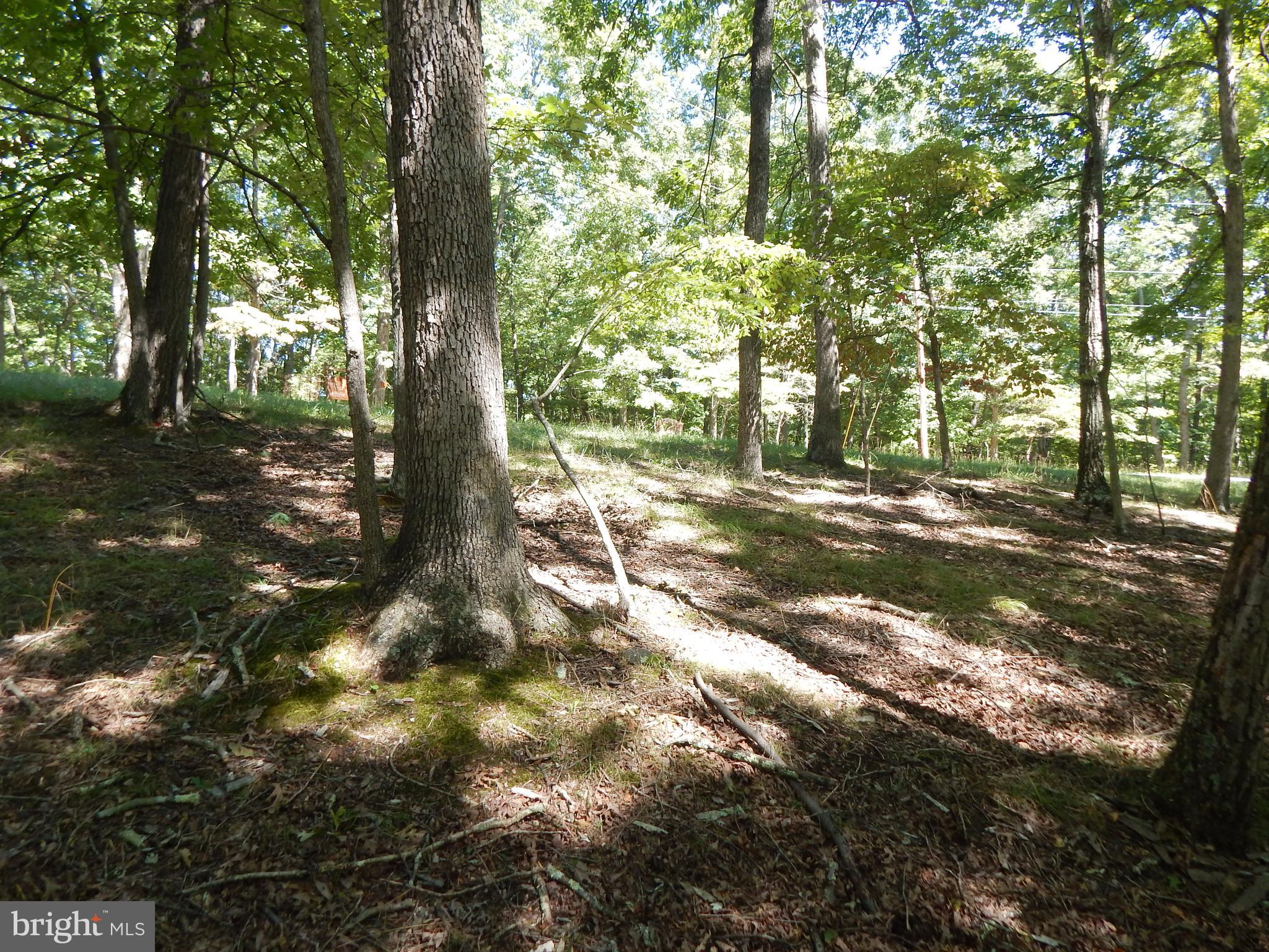 Sideling Mountain Trl