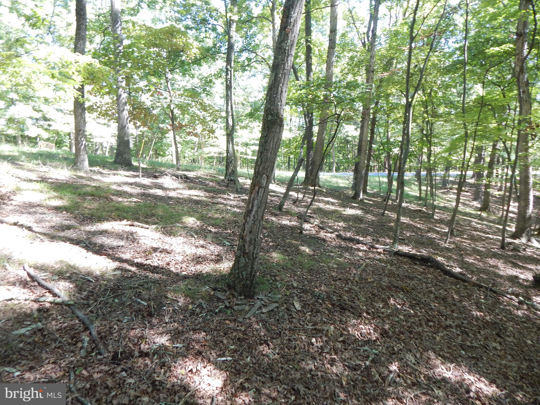 Sideling Mountain Trl