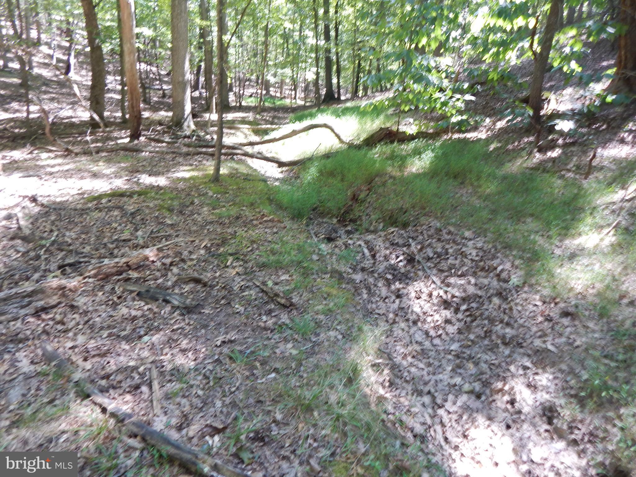 Sideling Mountain Trl