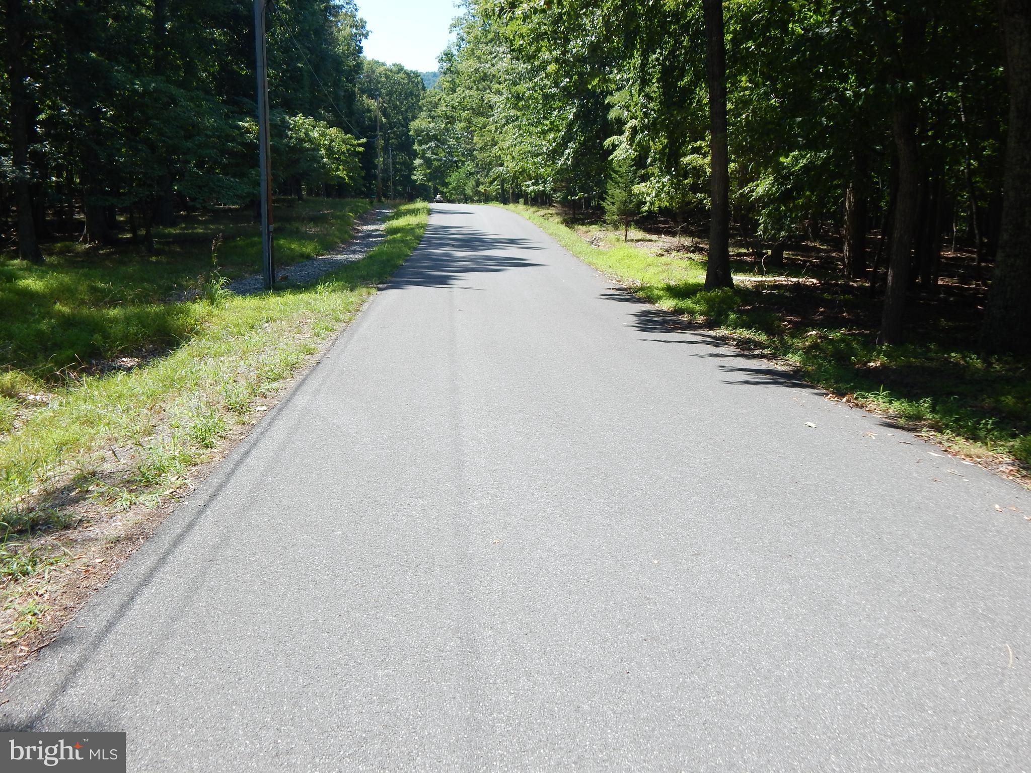 Sideling Mountain Trl