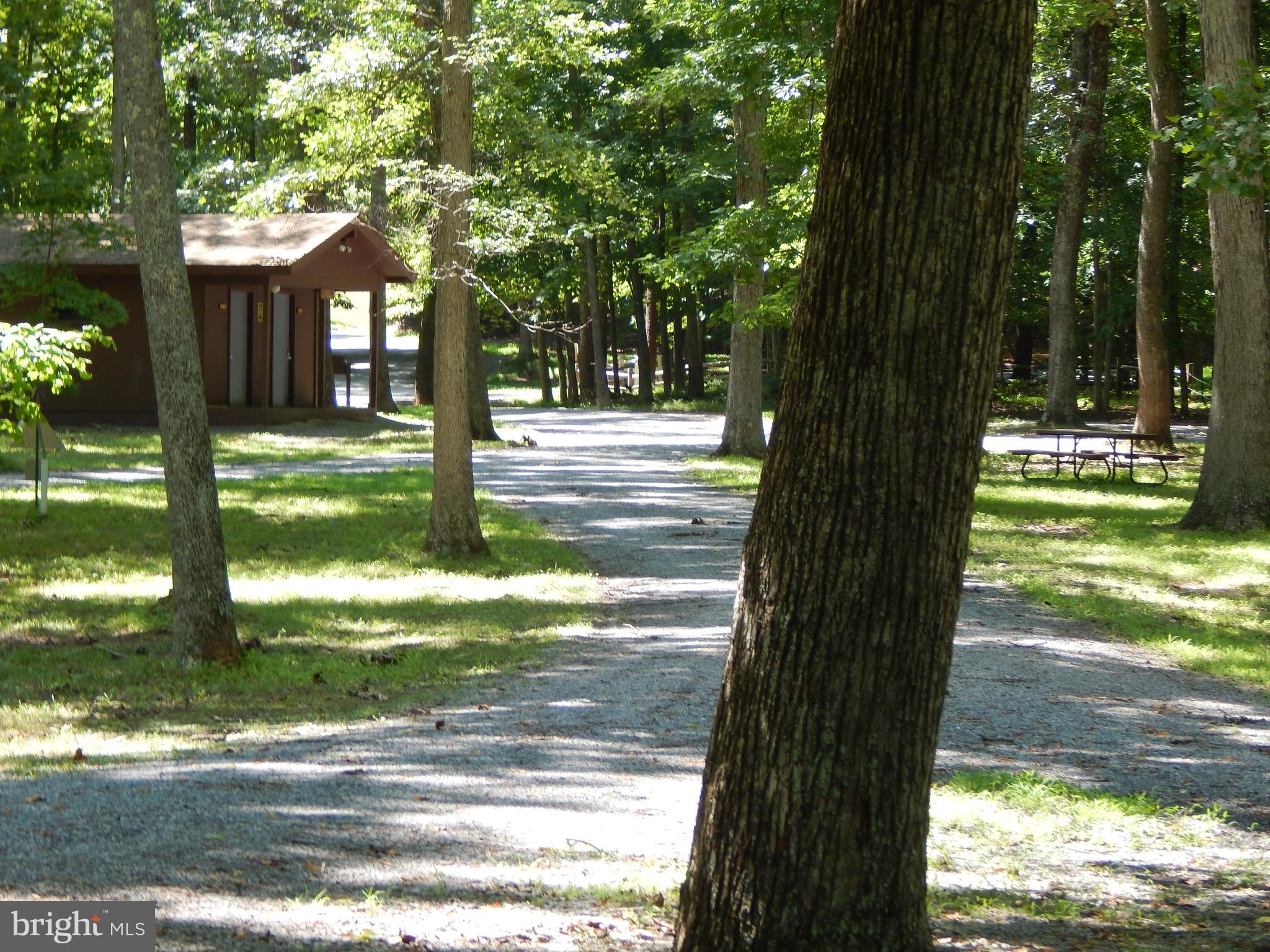 Sideling Mountain Trl