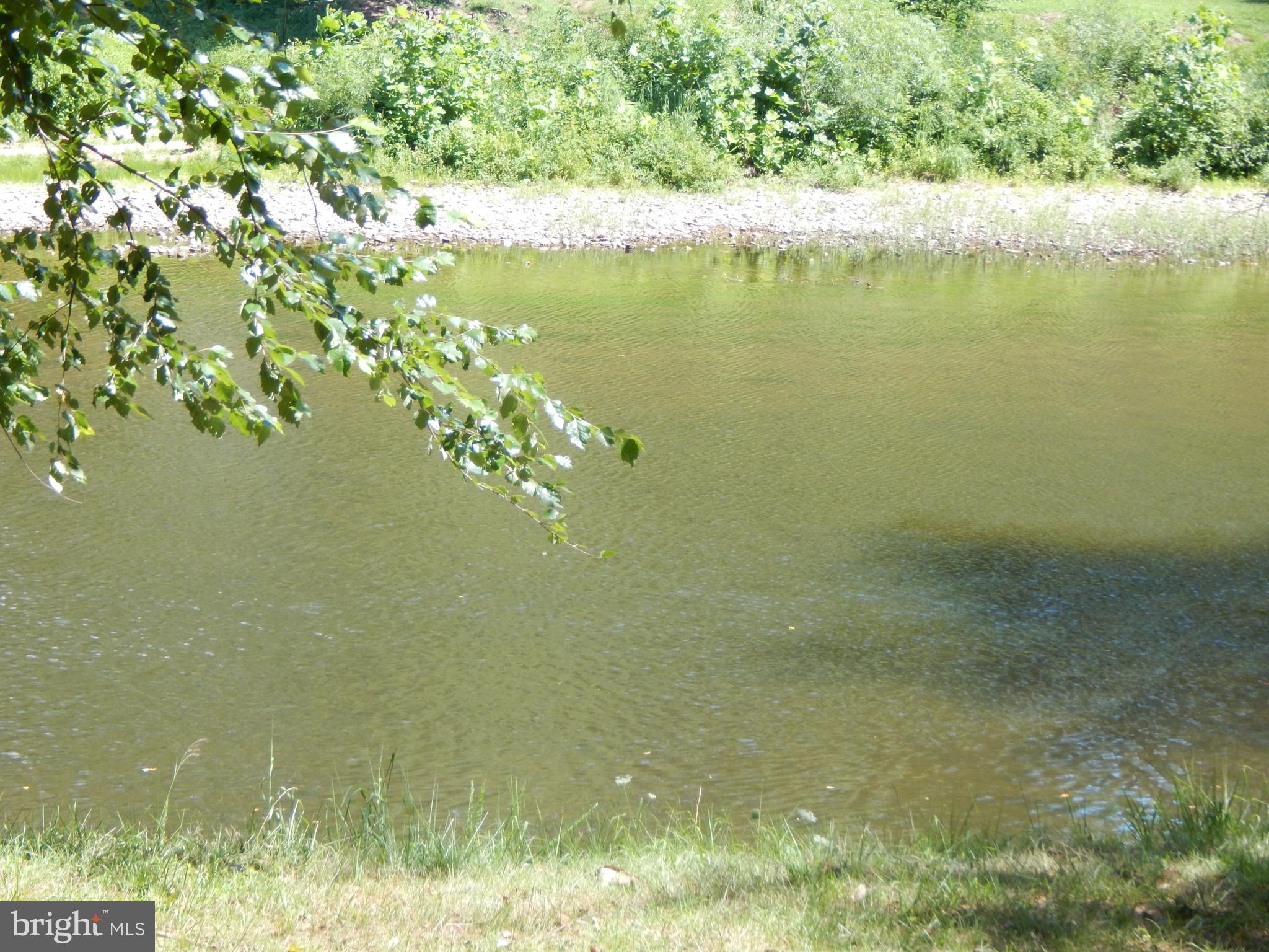 Sideling Mountain Trl