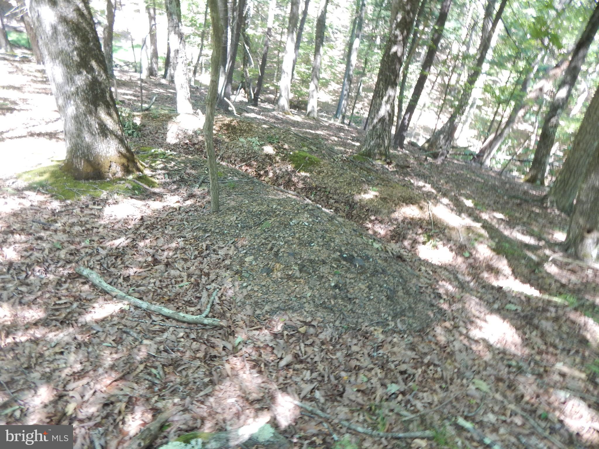 Sideling Mountain Trl