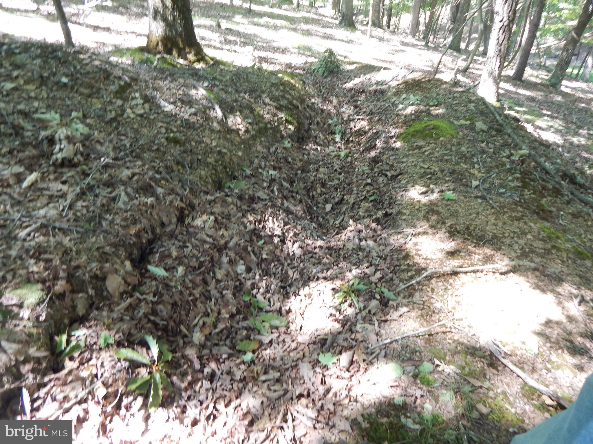 Sideling Mountain Trl