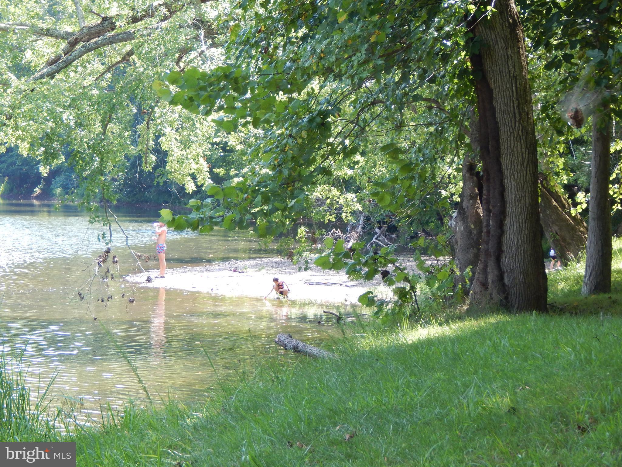 Sideling Mountain Trl