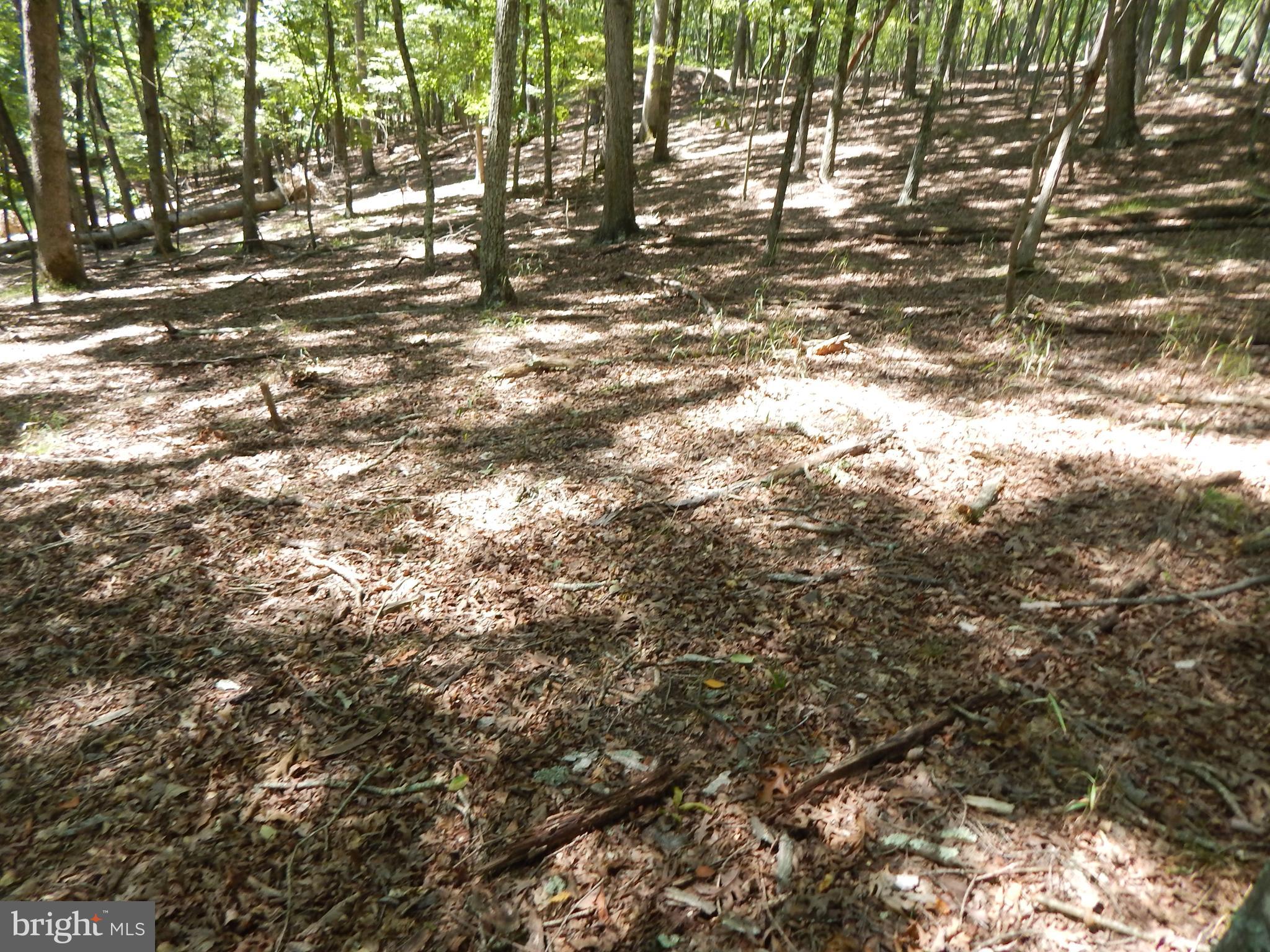 Sideling Mountain Trl