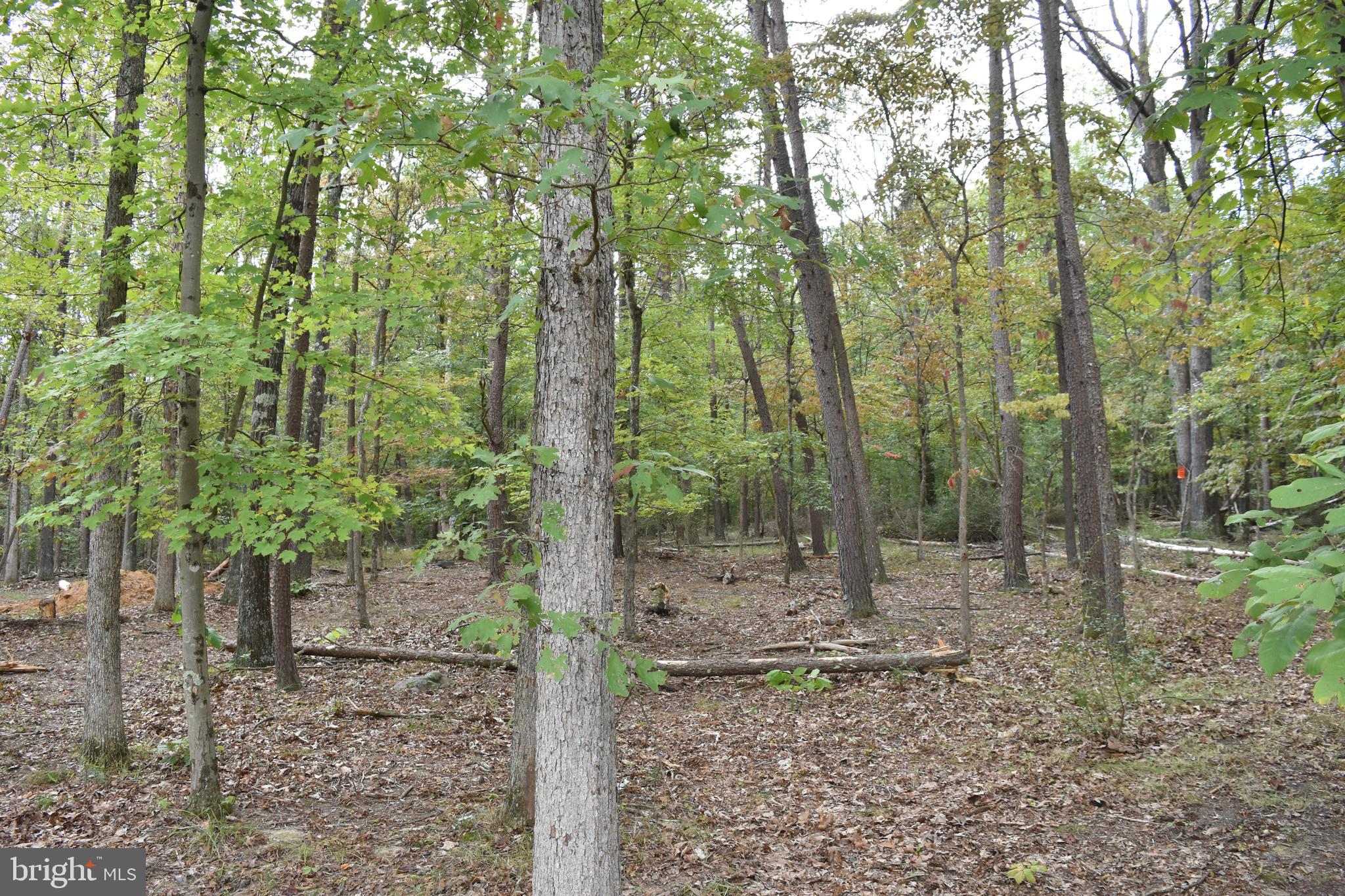 499 Oliver Ln
