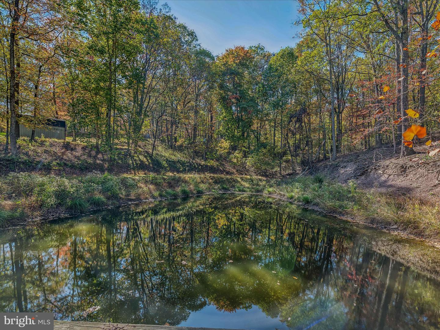 44 Cox Ln