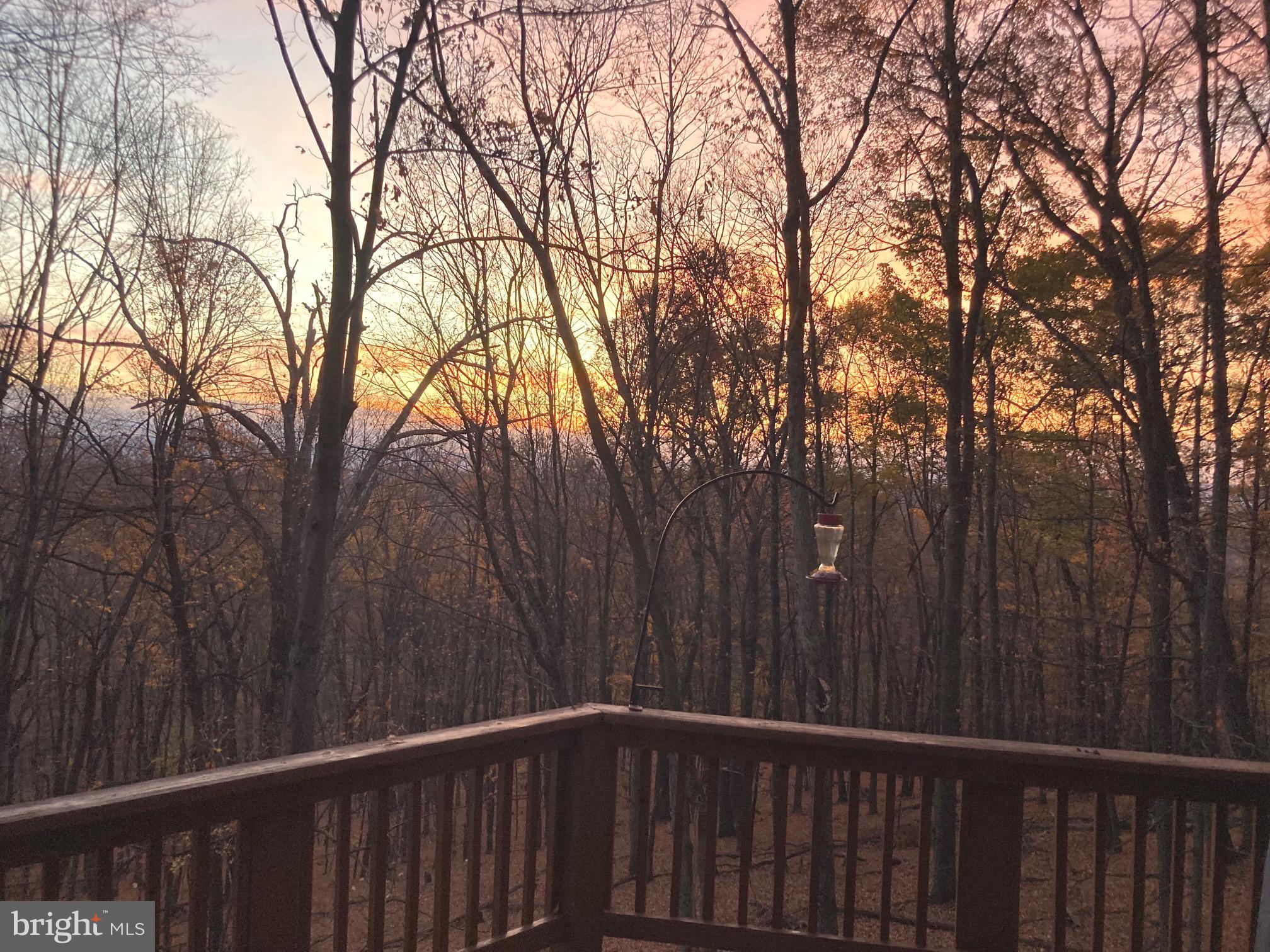 574 Bobcat Dr