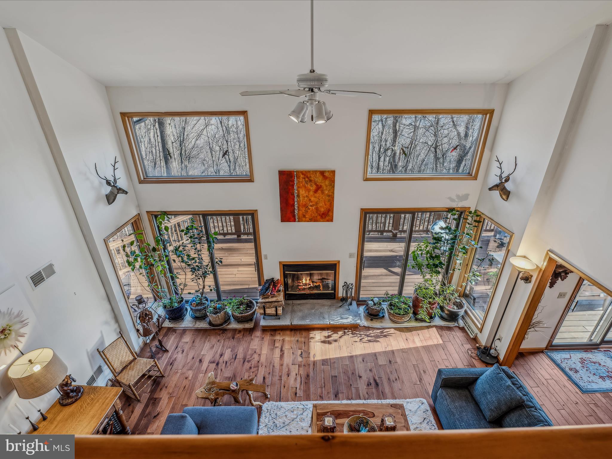 574 Bobcat Dr