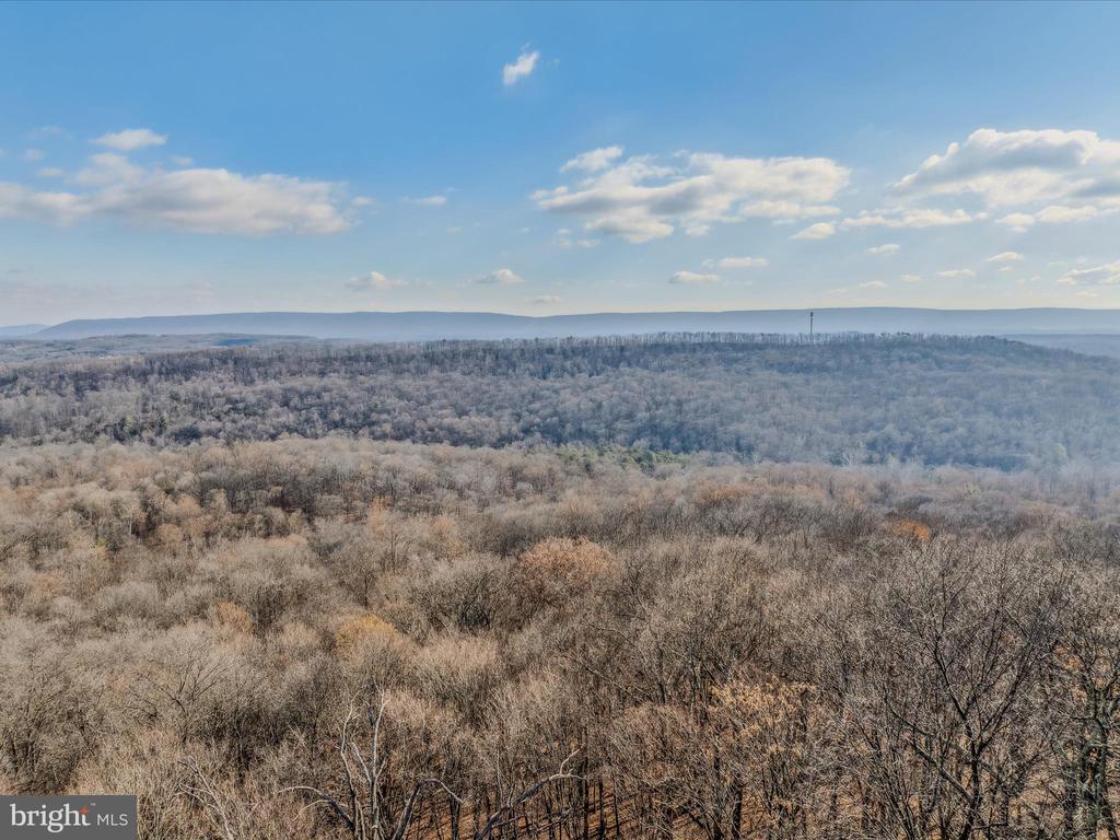 574 Bobcat Dr