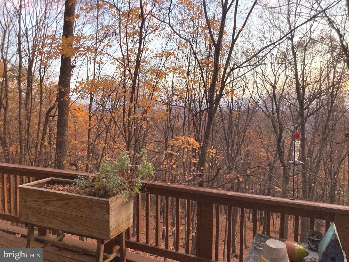 574 Bobcat Dr