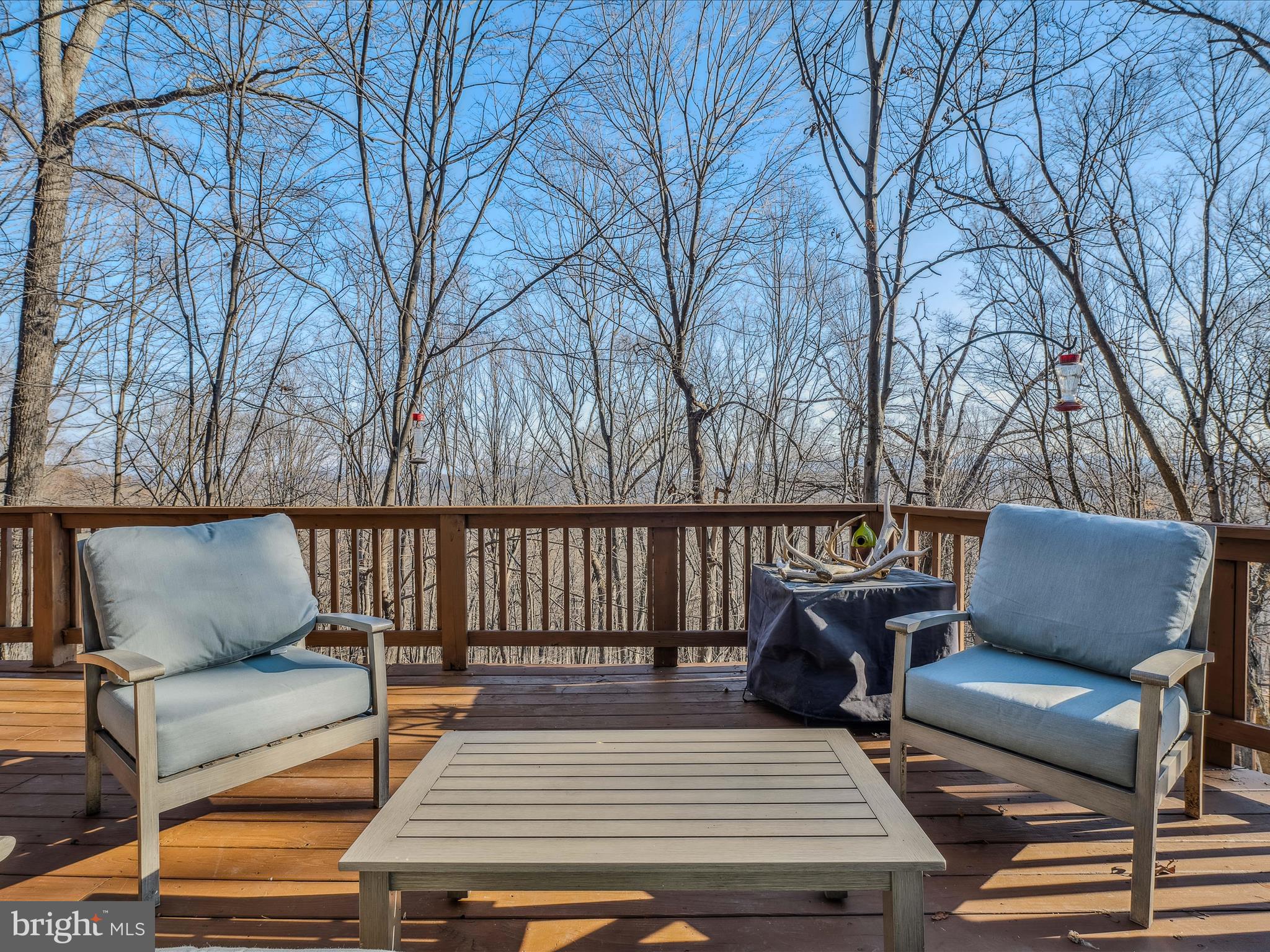 574 Bobcat Dr