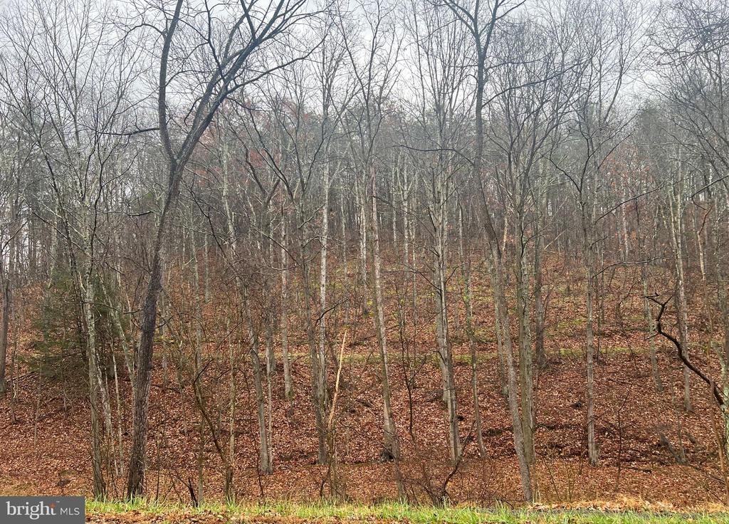 Cacapon Road