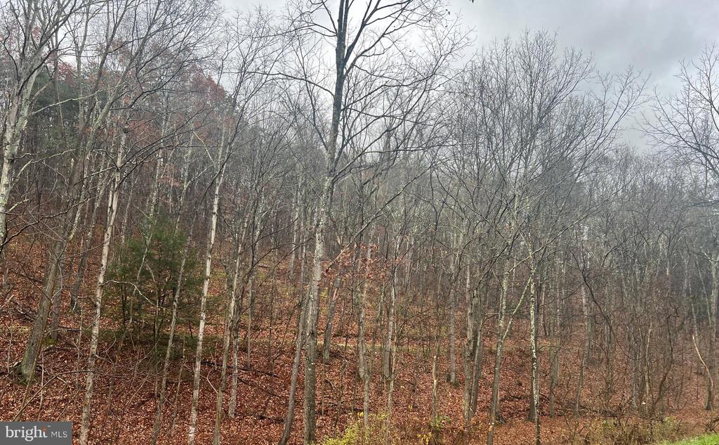Cacapon Road