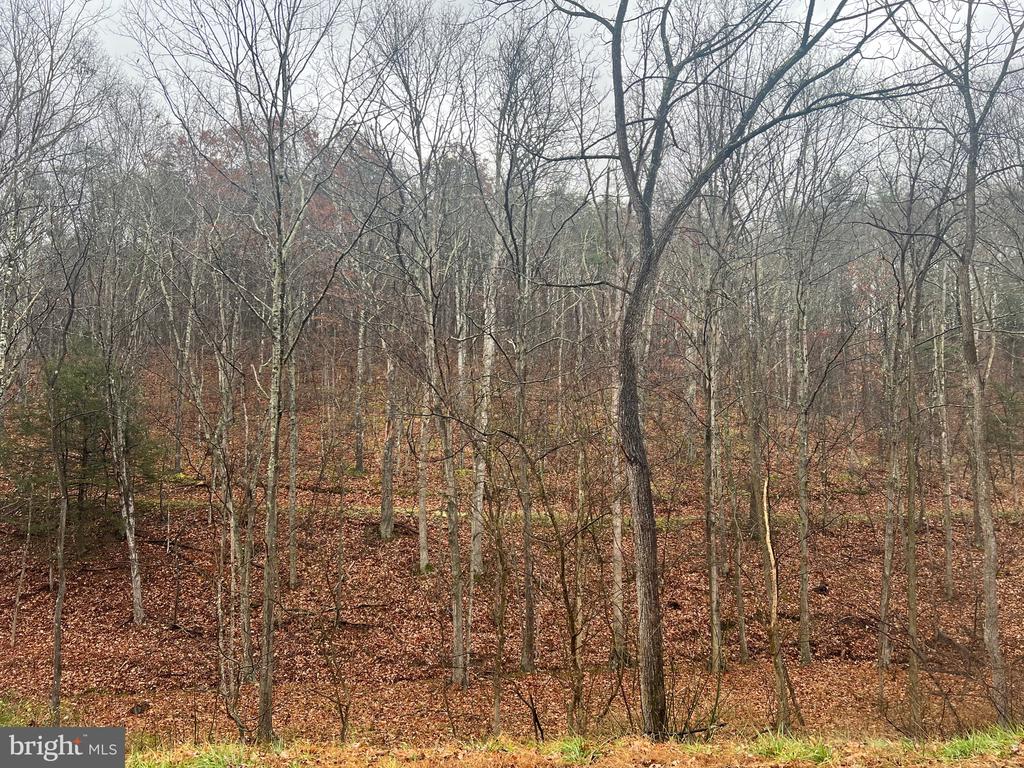 Cacapon Road