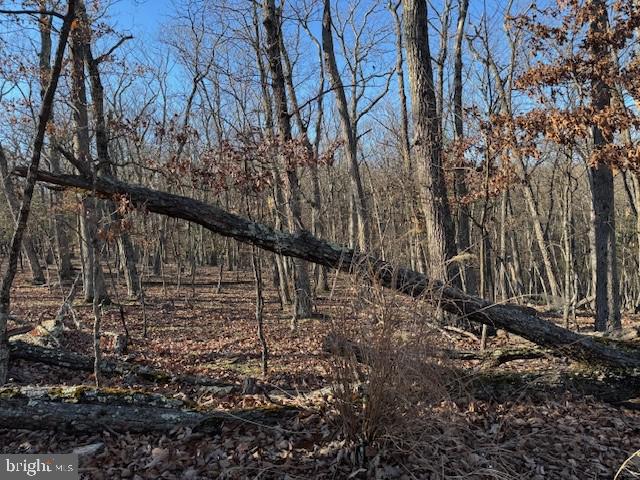 Lot 4 Turkey Ridge Ln