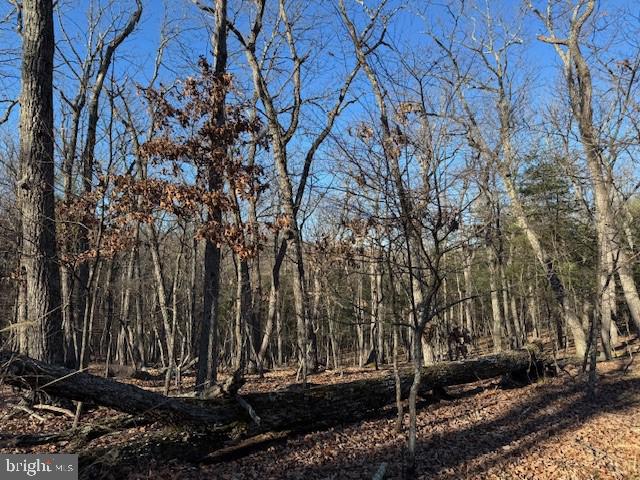 Lot 4 Turkey Ridge Ln