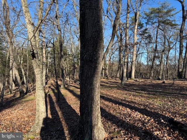 Lot 4 Turkey Ridge Ln