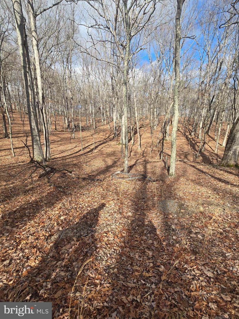 Pioneer Trail