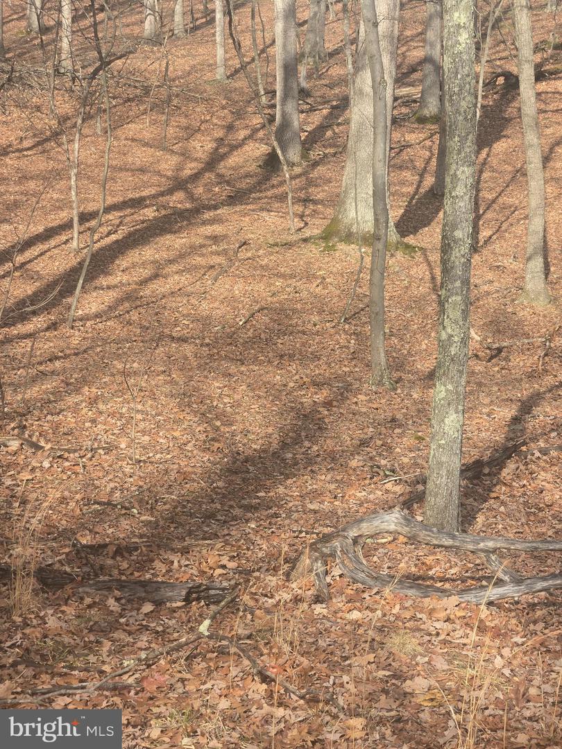 Pioneer Trail