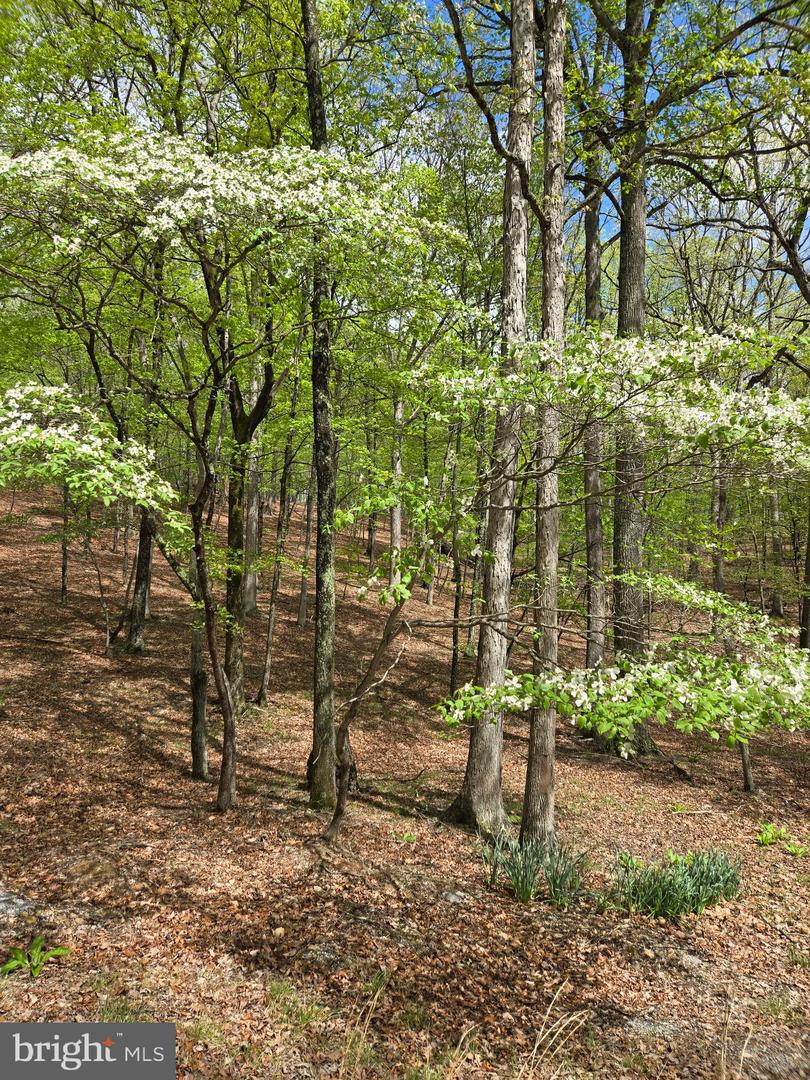 Pioneer Trail