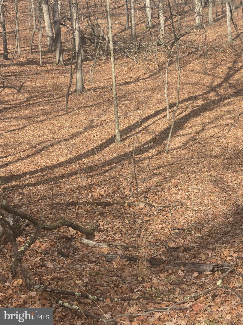 Pioneer Trail