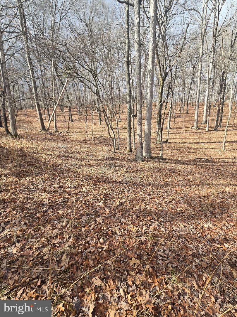 Pioneer Trail