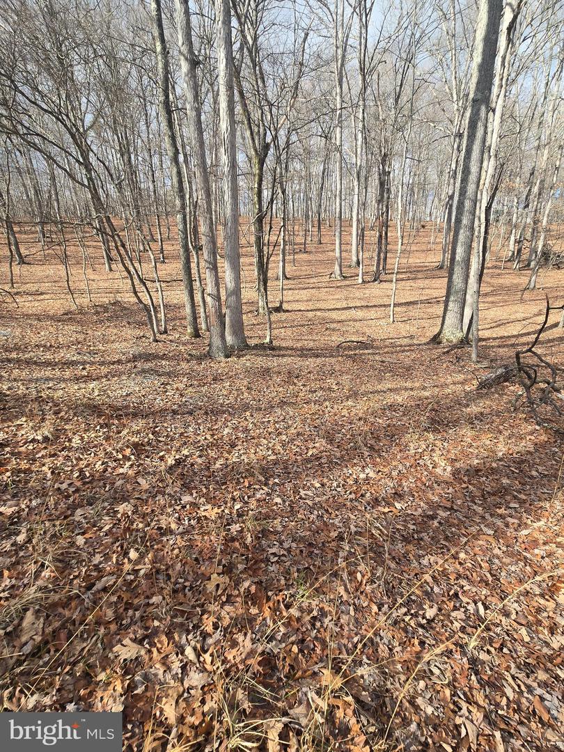 Pioneer Trail