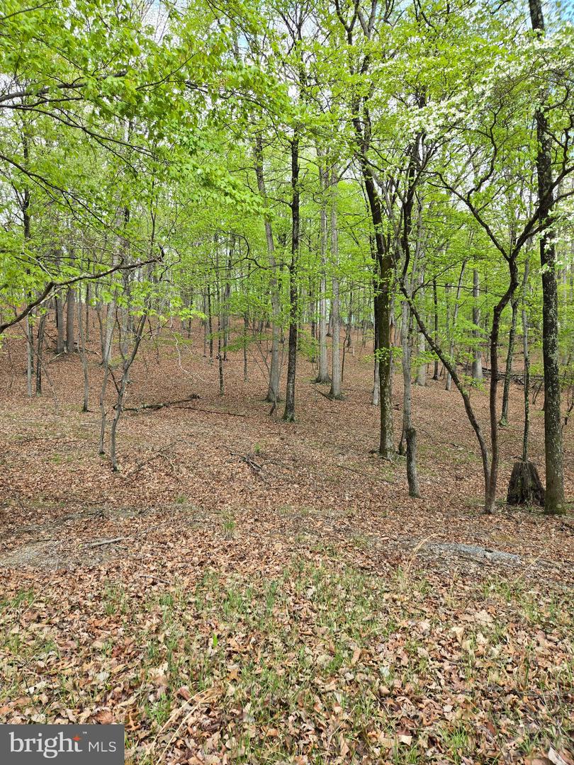 Pioneer Trail