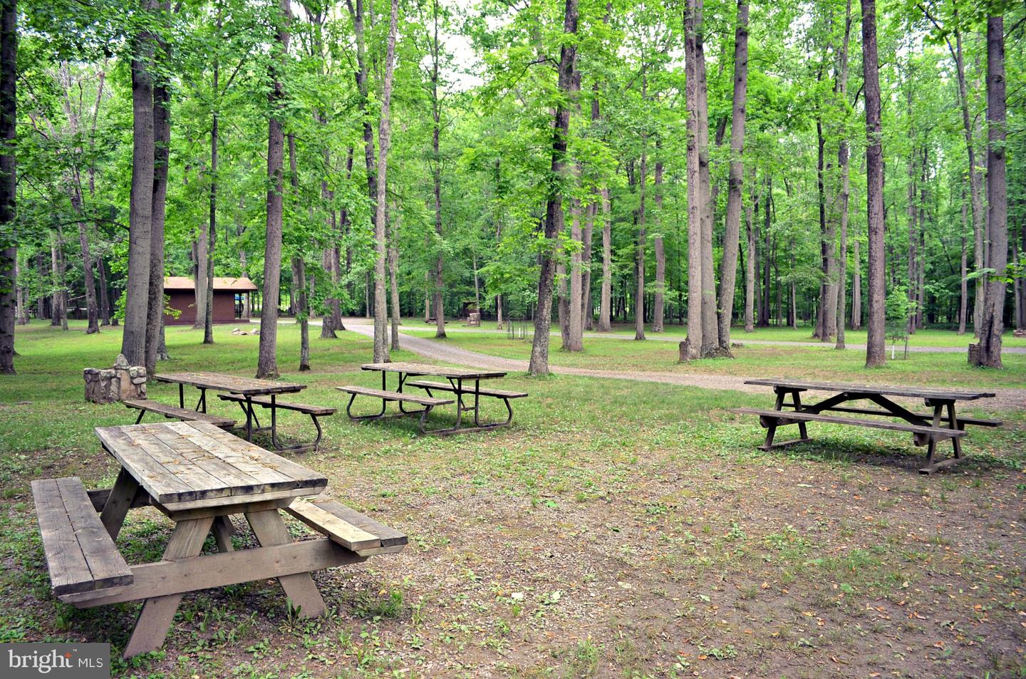 Pioneer Trail