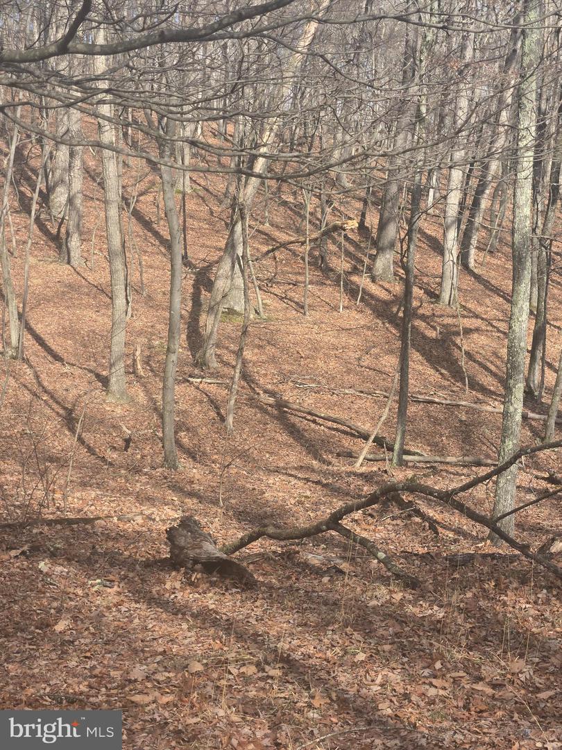 Pioneer Trail