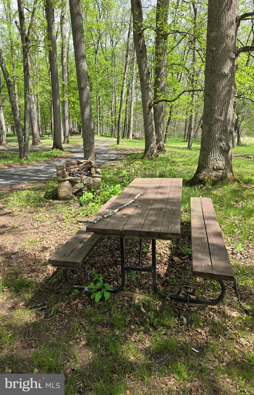 Pioneer Trail
