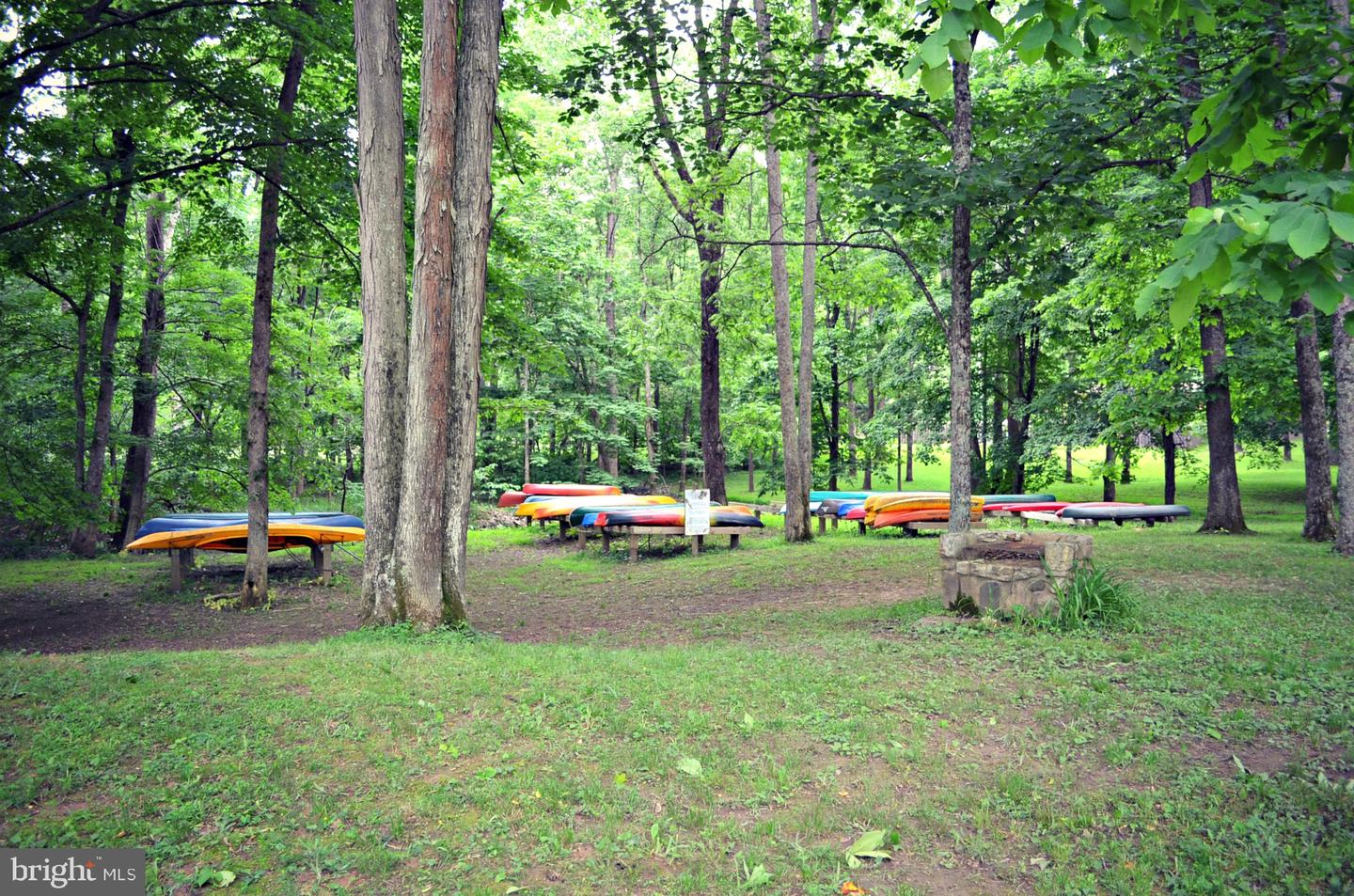 Pioneer Trail