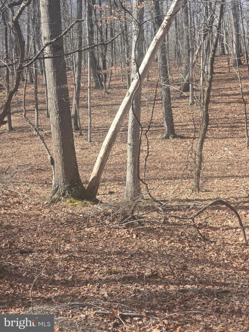 Pioneer Trail