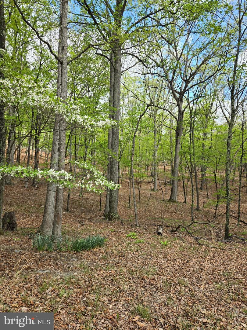 Pioneer Trail