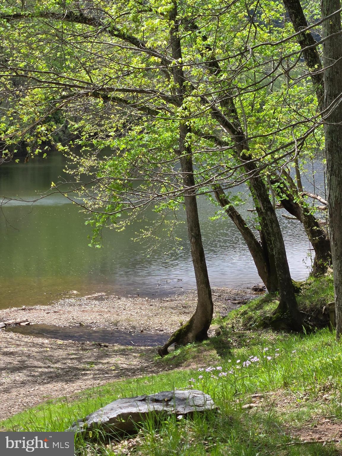 Pioneer Trail