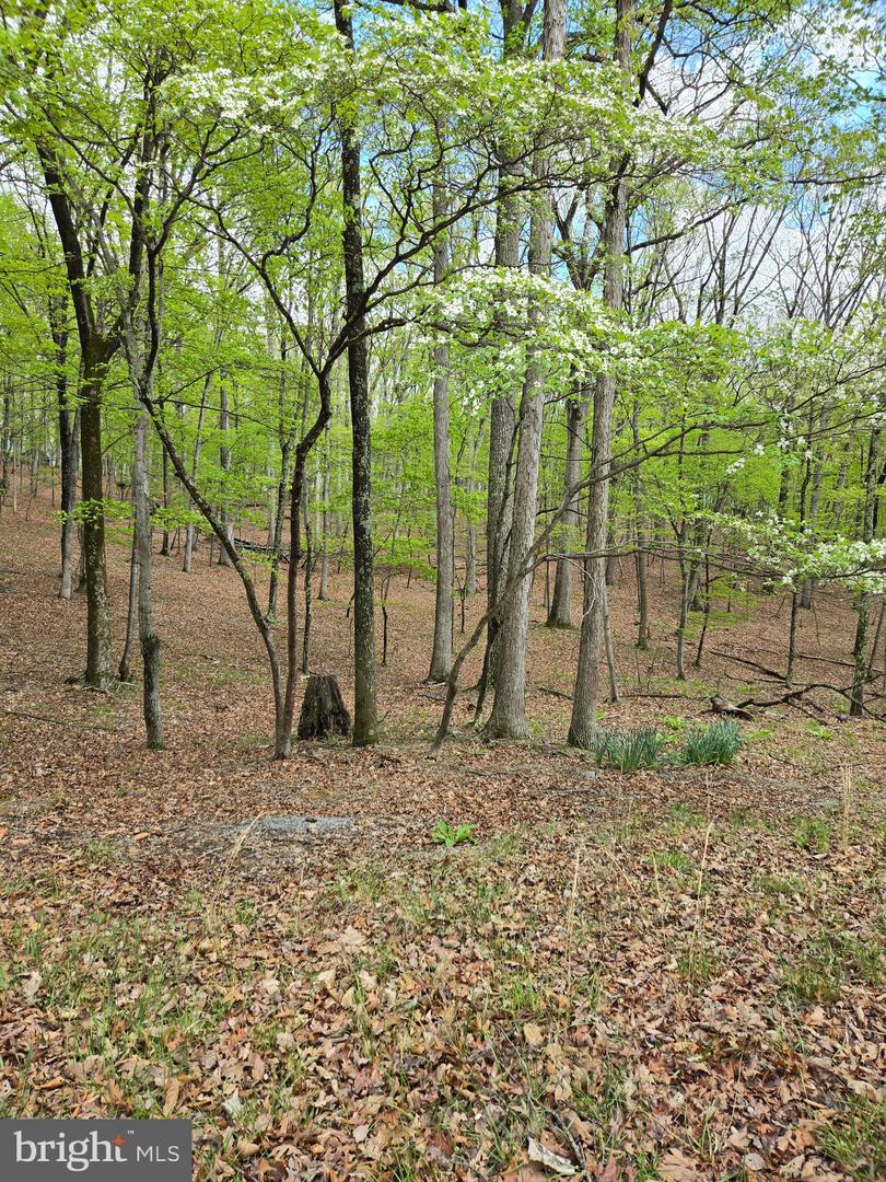 Pioneer Trail