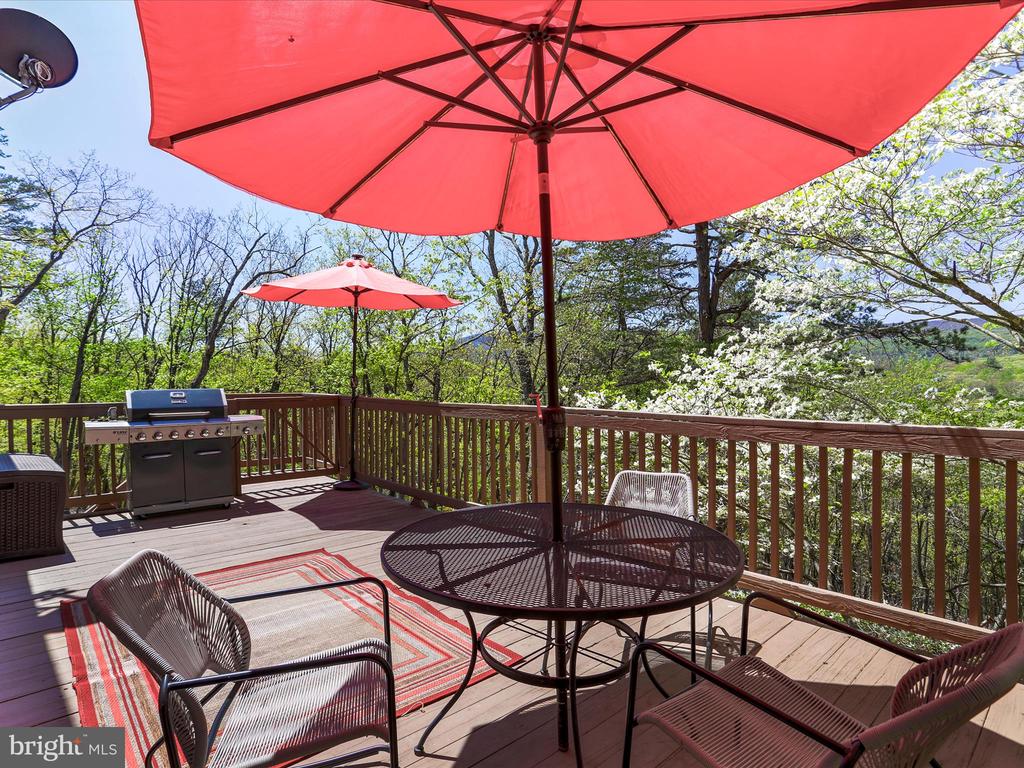 777 Timber Ln