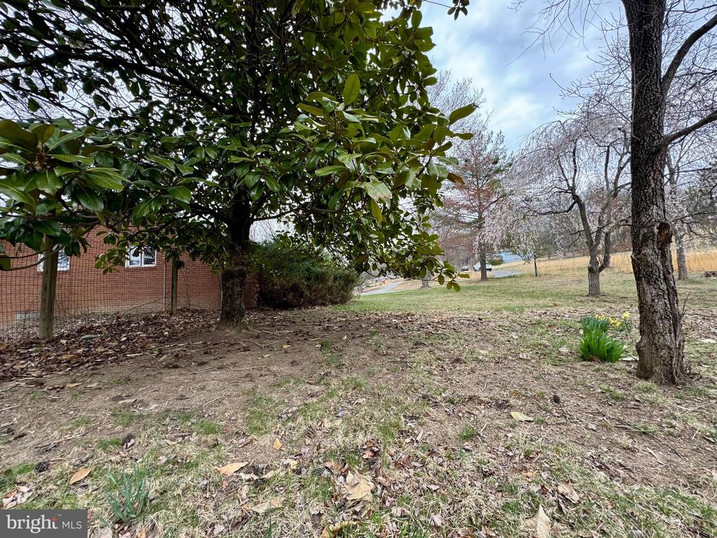 64 Sarah Ann Ln