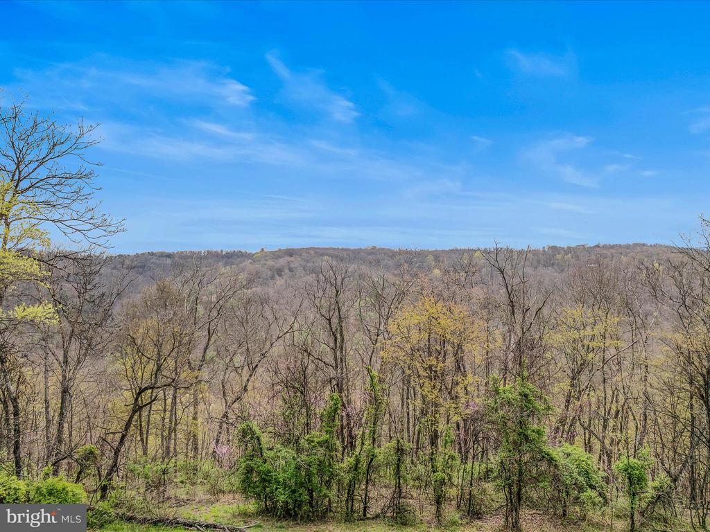 4232 Fairview Dr