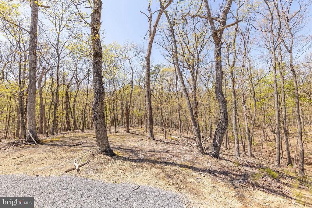 275 OAK FOREST LANE